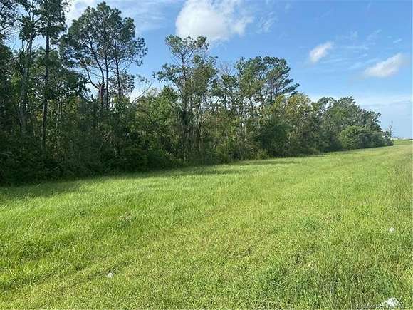62.2 Acres of Land for Sale in Vinton, Louisiana