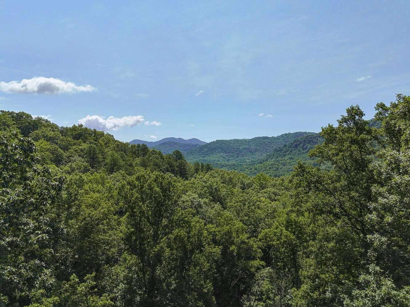 11.25 Acres of Land for Sale in Black Mountain, North Carolina