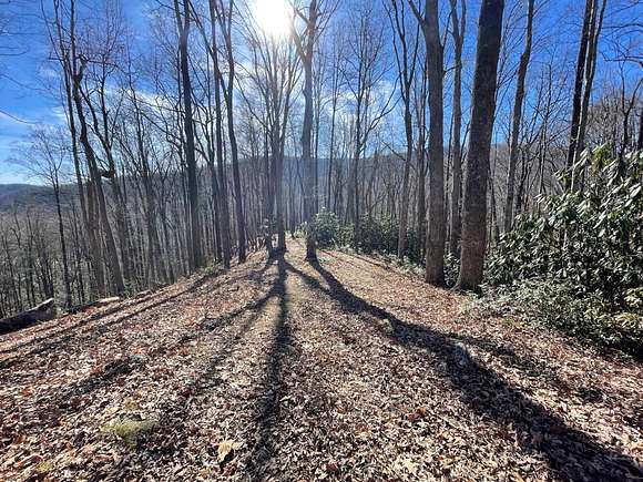 11.3 Acres of Land for Sale in Black Mountain, North Carolina