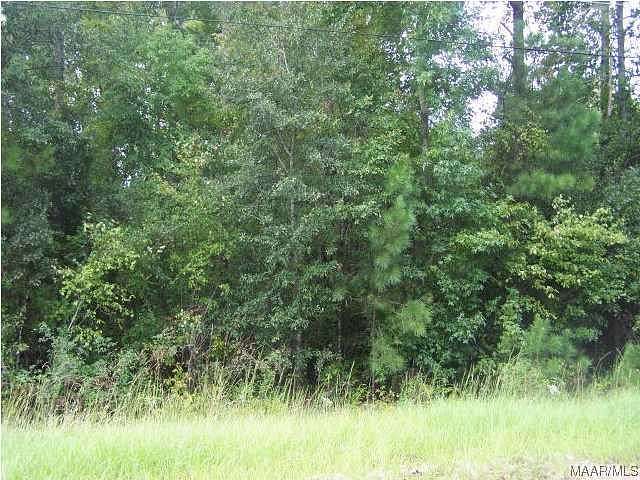 0.78 Acres of Residential Land for Sale in Eclectic, Alabama