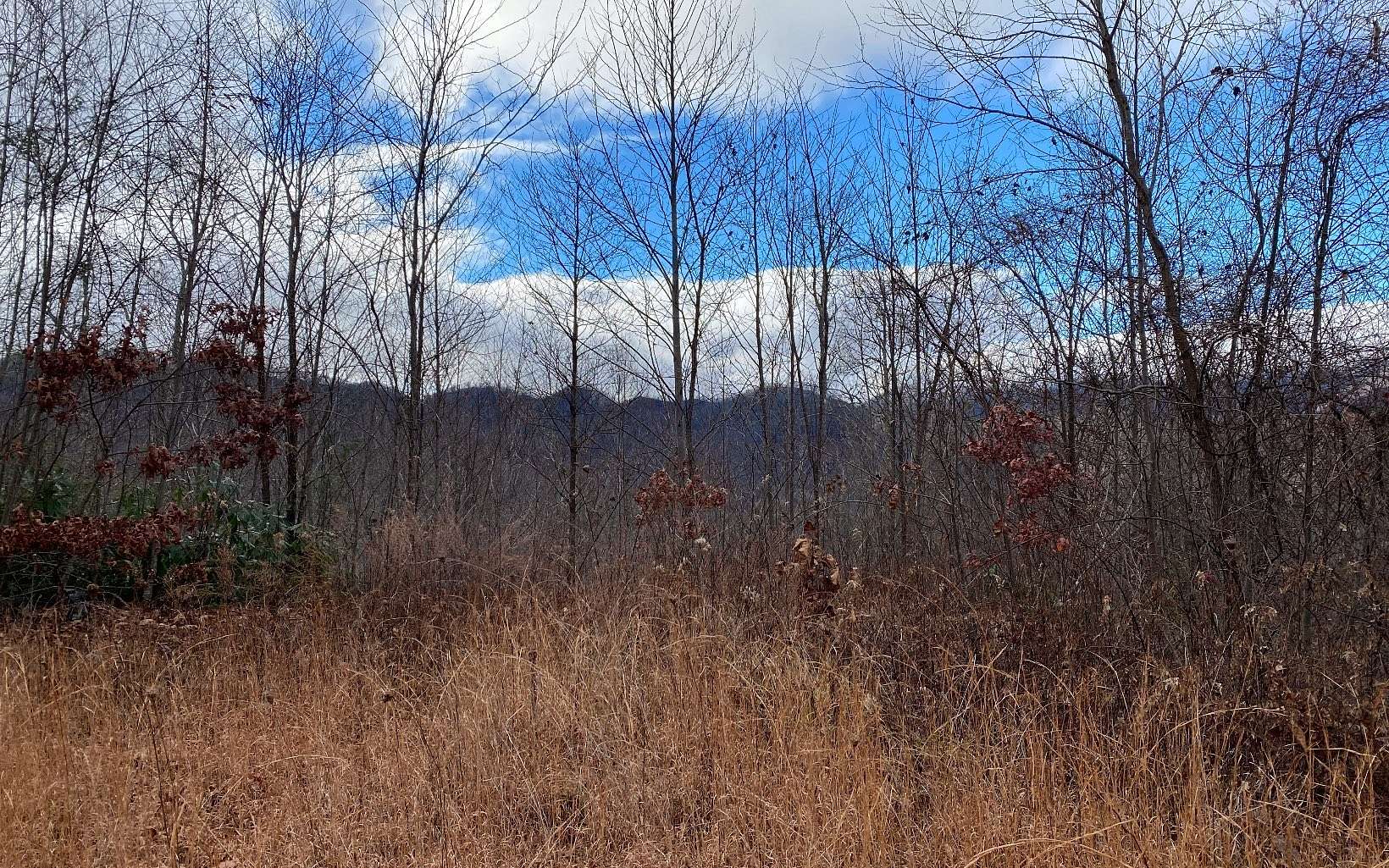 1.6 Acres of Residential Land for Sale in Bryson City, North Carolina