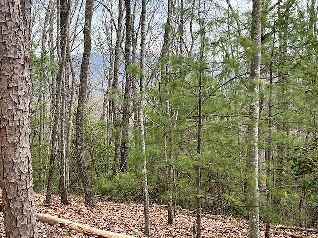 6.3 Acres of Residential Land for Sale in Ellijay, Georgia