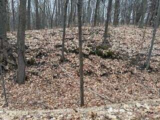 6.6 Acres of Land for Sale in Shelby, Michigan