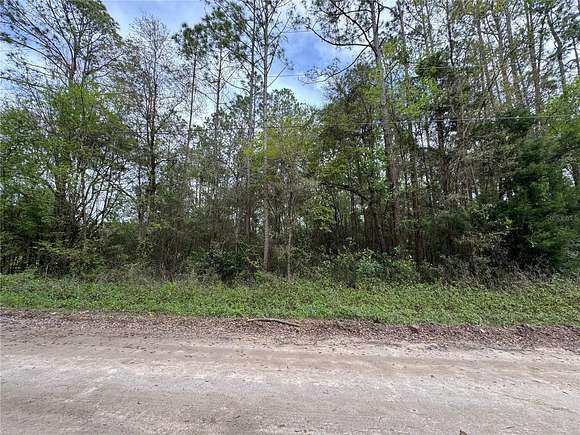 2.5 Acres of Residential Land for Sale in Williston, Florida