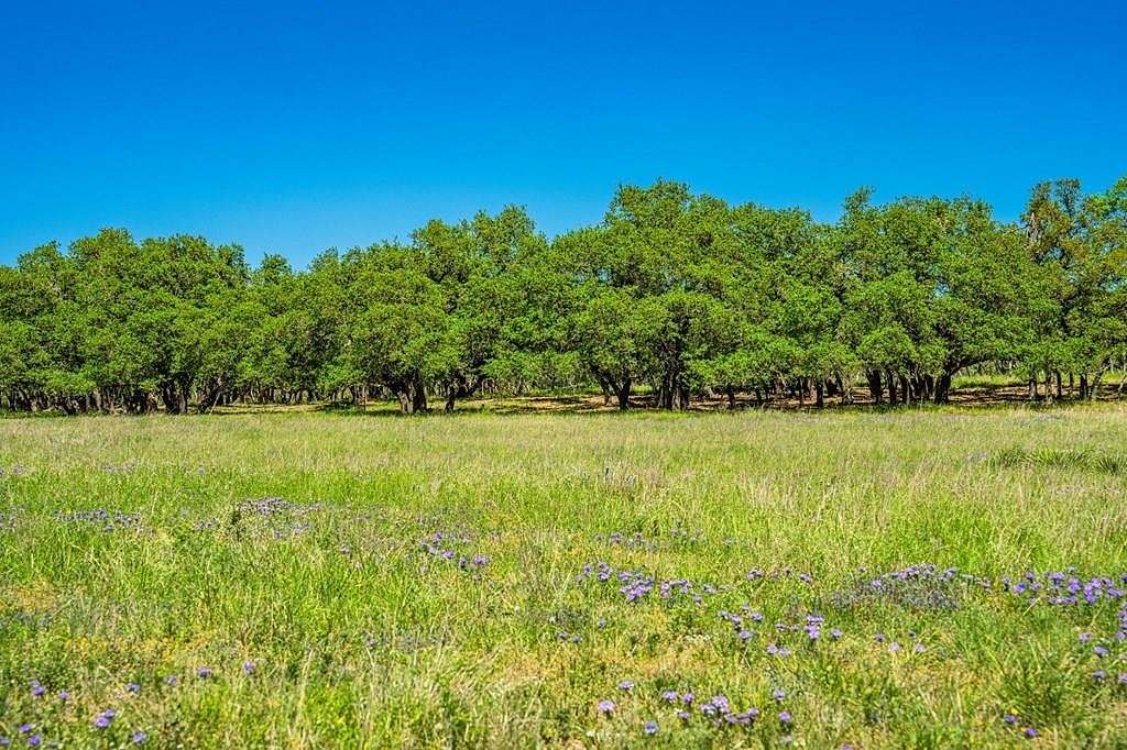 57.2 Acres of Land for Sale in Harper, Texas