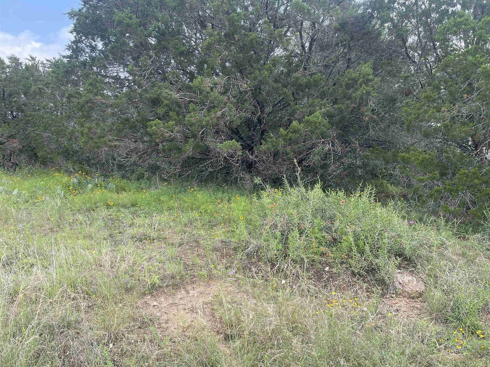 0.23 Acres of Land for Sale in Burnet, Texas