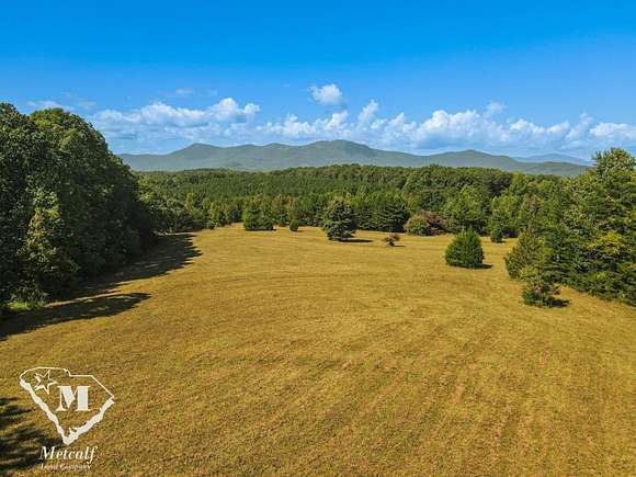 82 Acres of Agricultural Land for Sale in Columbus, North Carolina