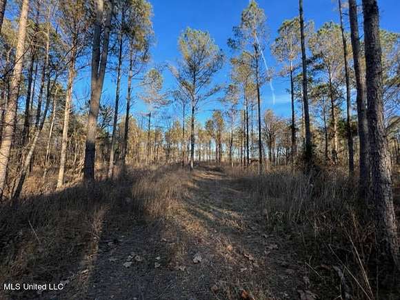 57 Acres of Recreational Land & Farm for Sale in Ashland, Mississippi