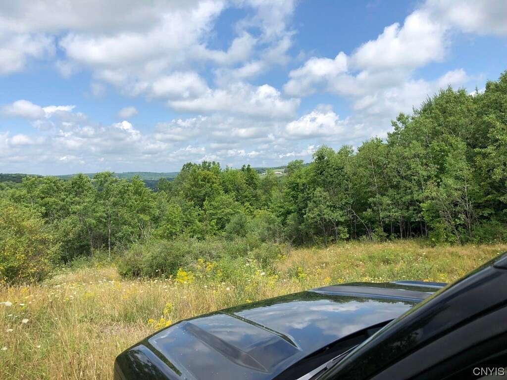 58.1 Acres of Land for Sale in Triangle, New York