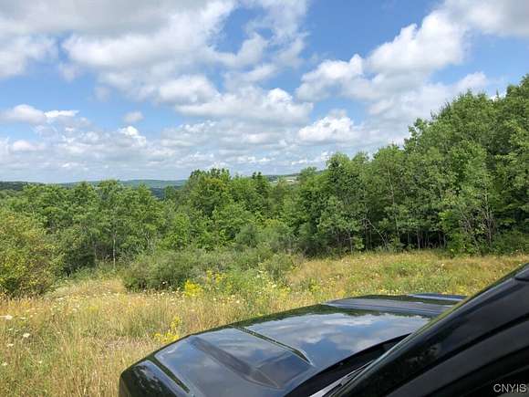 58.1 Acres of Land for Sale in Triangle, New York
