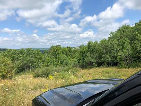 58.1 Acres of Land for Sale in Whitney Point, New York