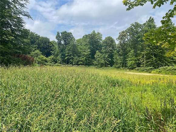 9.6 Acres of Residential Land for Sale in Canton, Ohio