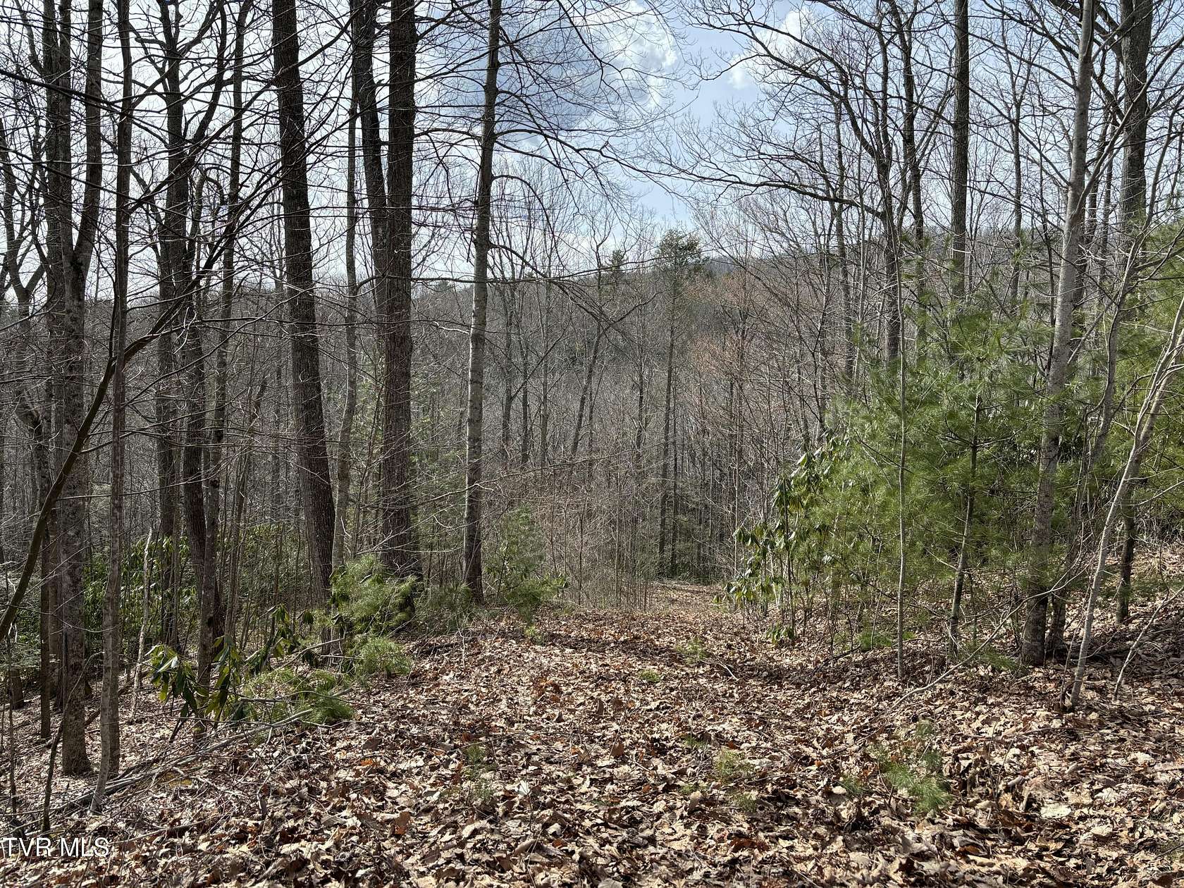 7.9 Acres of Land for Sale in Mountain City, Tennessee