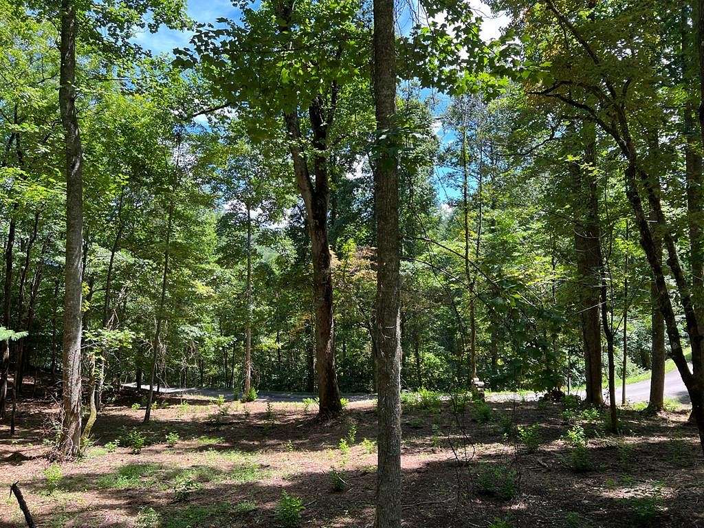 1.5 Acres of Residential Land for Sale in Franklin Township, North Carolina