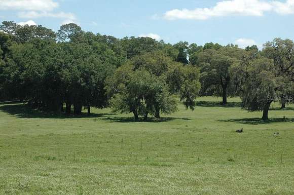 29 Acres of Land for Sale in Trilby, Florida