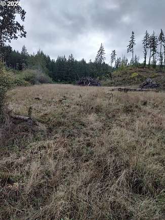 20 Acres of Agricultural Land for Sale in Willamina, Oregon