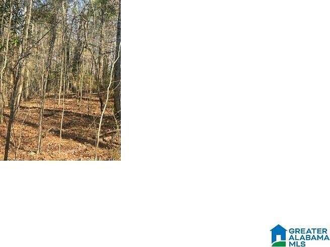 0.3 Acres of Residential Land for Sale in Alpine, Alabama