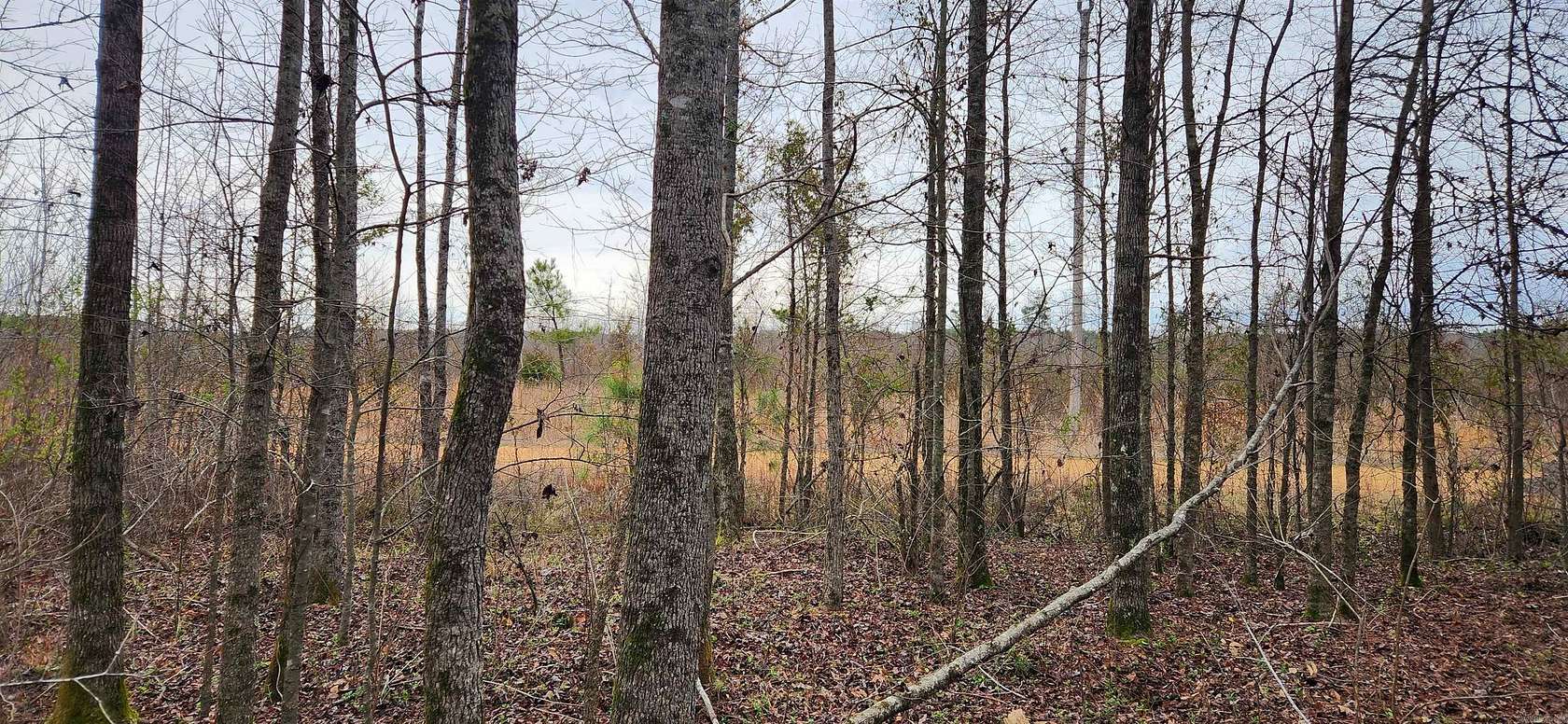 1.5 Acres of Residential Land for Sale in Star City, Arkansas