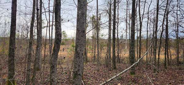 1.5 Acres of Residential Land for Sale in Star City, Arkansas