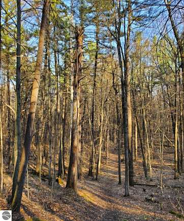 53.3 Acres of Recreational Land for Sale in West Branch, Michigan