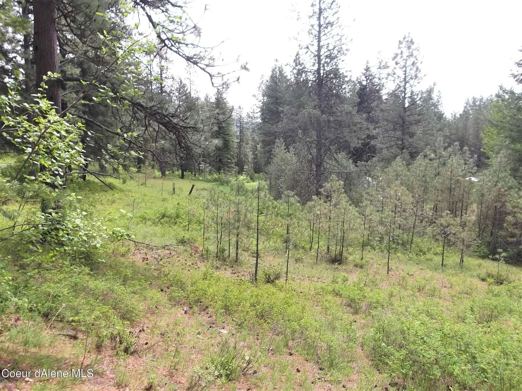 10 Acres of Land for Sale in Rathdrum, Idaho