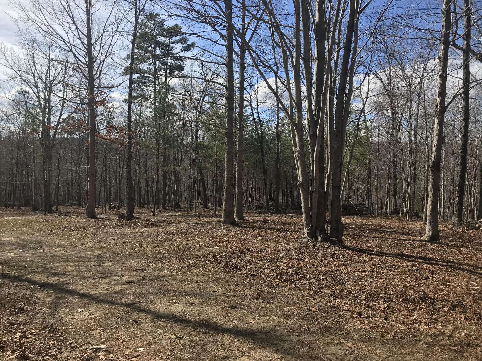5.6 Acres of Residential Land for Sale in Dunlap, Tennessee