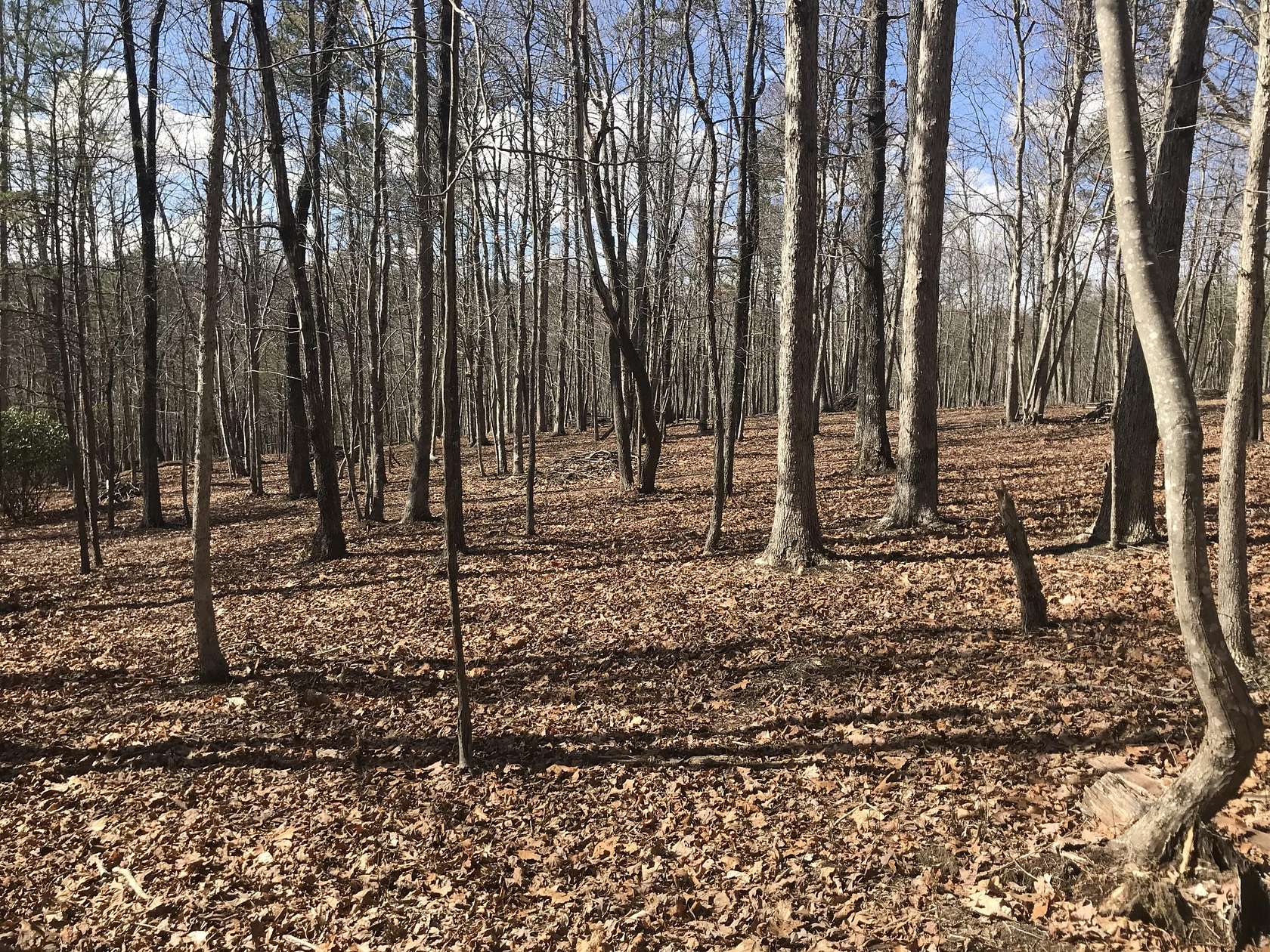 6 Acres of Residential Land for Sale in Dunlap, Tennessee