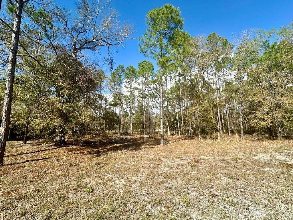 0.69 Acres of Residential Land for Sale in Steinhatchee, Florida