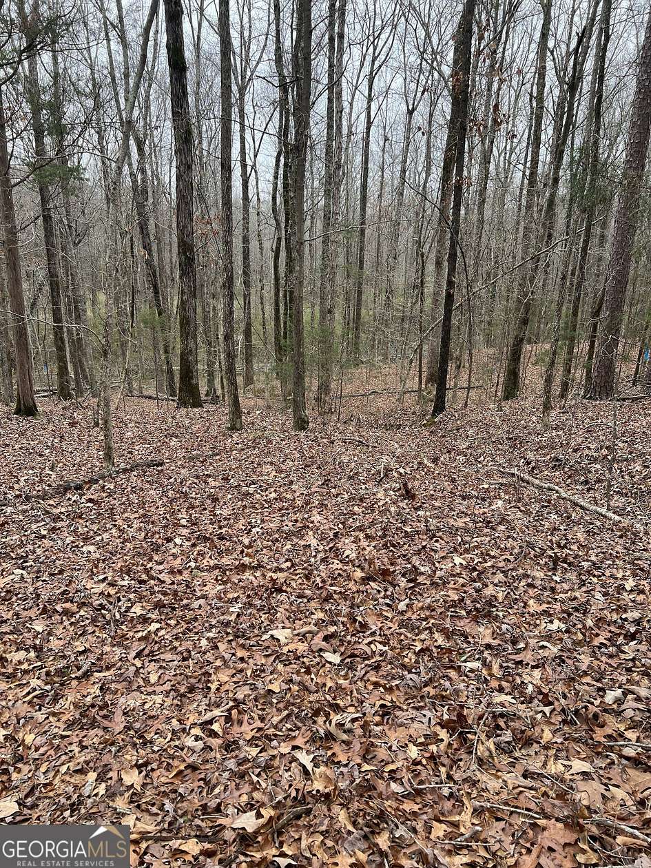 4.75 Acres of Residential Land for Sale in Locust Grove, Georgia