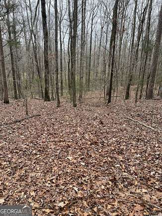 4.75 Acres of Residential Land for Sale in Locust Grove, Georgia