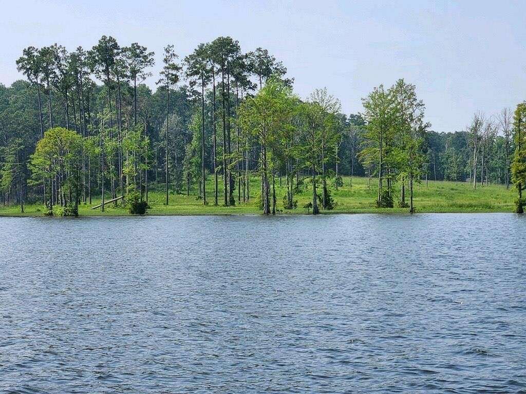 1 Acre of Residential Land for Sale in Burkeville, Texas