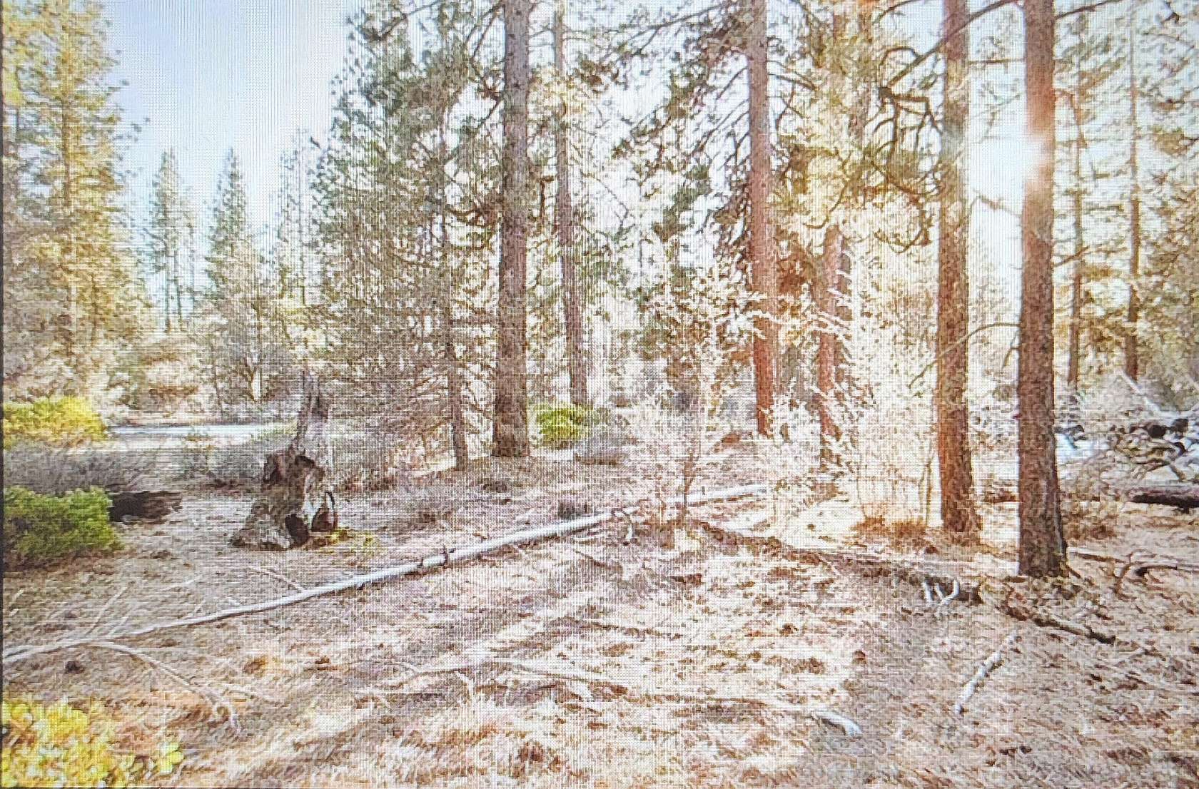 4.5 Acres of Residential Land for Sale in Bonanza, Oregon