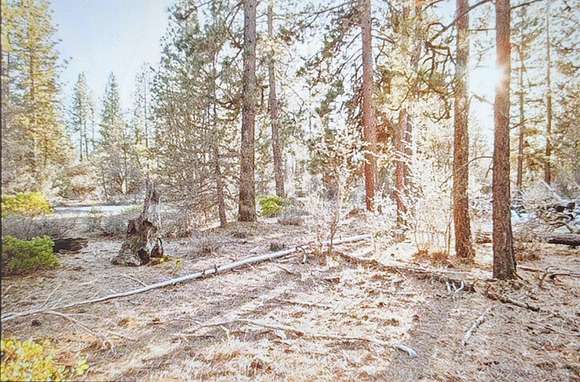 4.54 Acres of Residential Land for Sale in Bonanza, Oregon