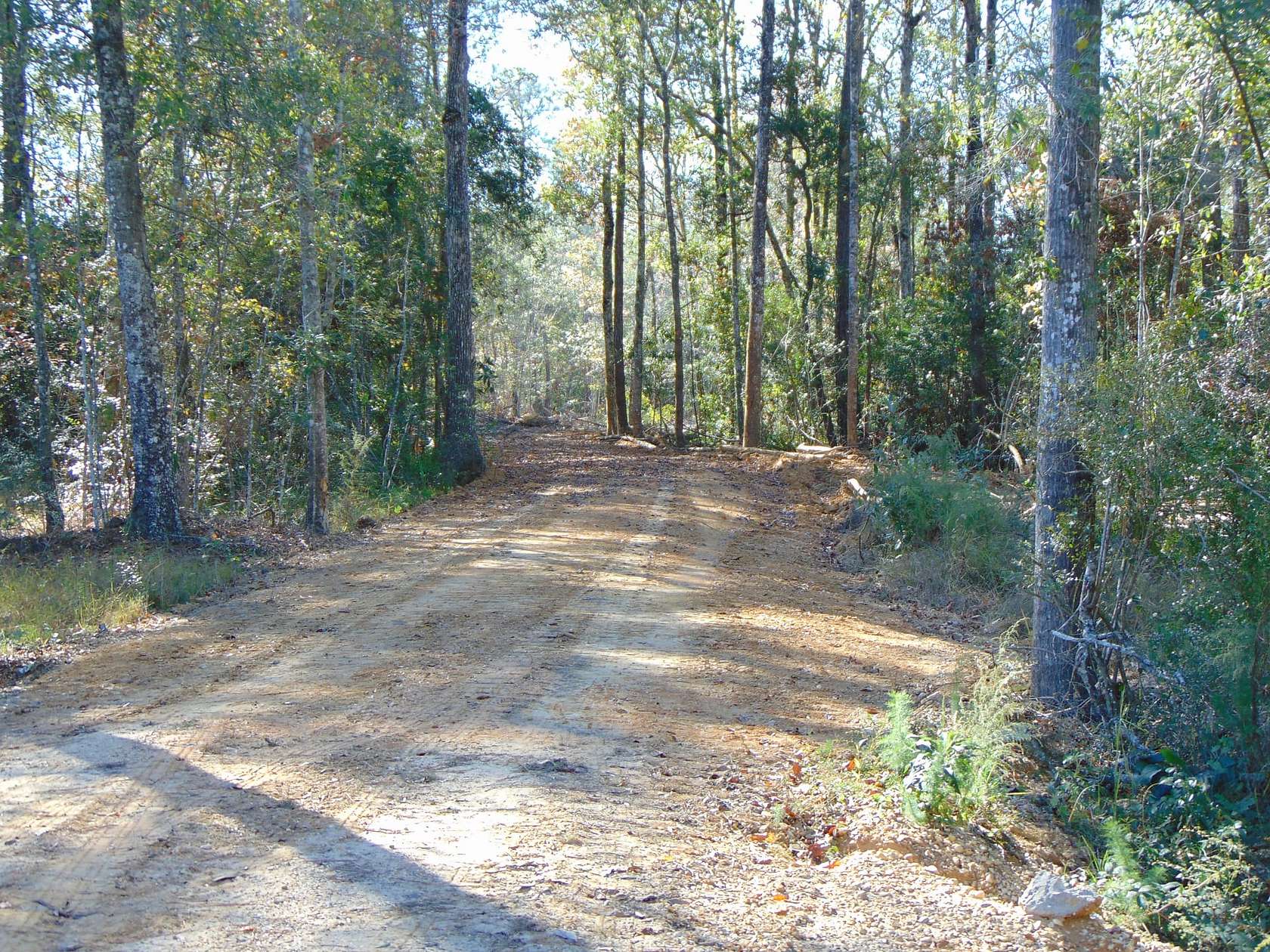 52.7 Acres of Land for Sale in Tylertown, Mississippi