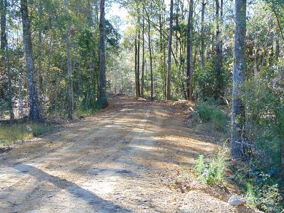 52.7 Acres of Land for Sale in Tylertown, Mississippi