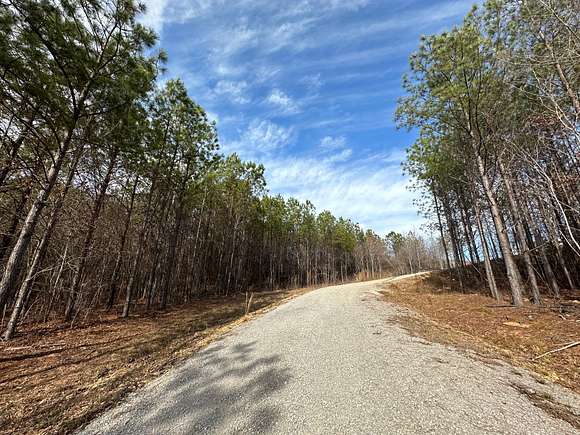 100 Acres of Land for Sale in Bear Creek, Alabama