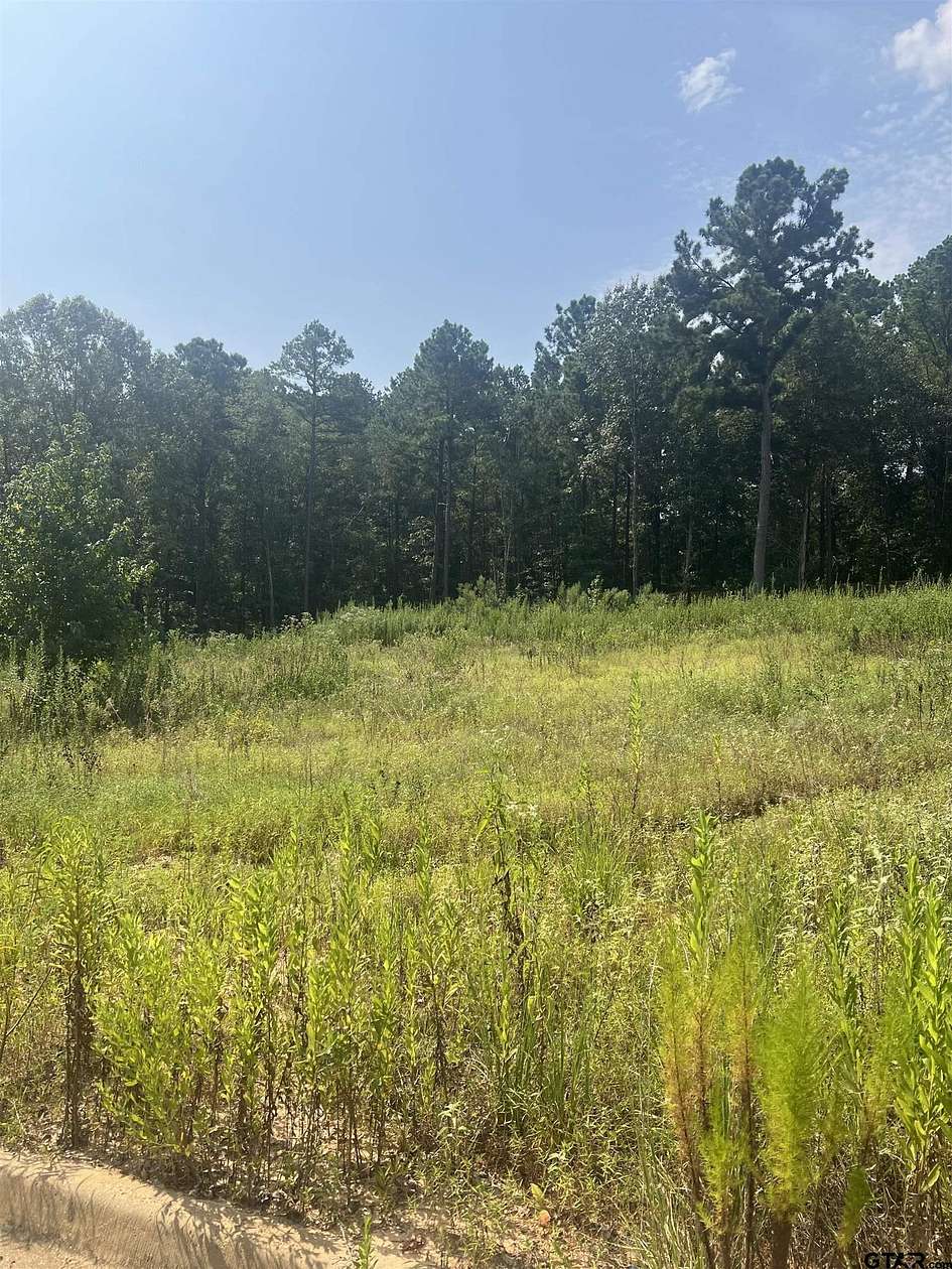 0.453 Acres of Residential Land for Sale in Tyler, Texas