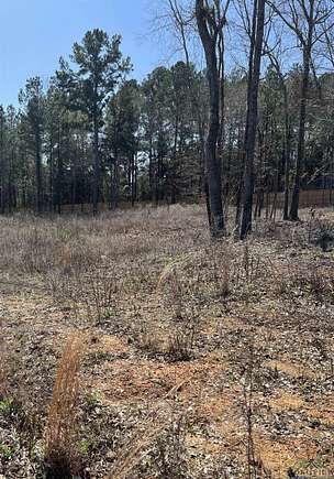 0.45 Acres of Residential Land for Sale in Tyler, Texas