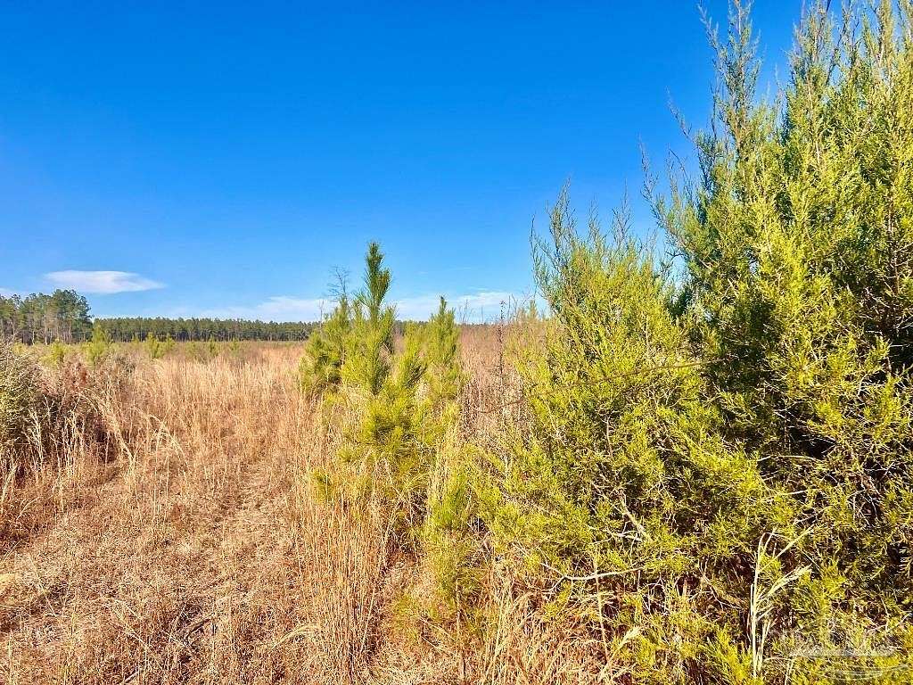 15.7 Acres of Land for Sale in Jay, Florida