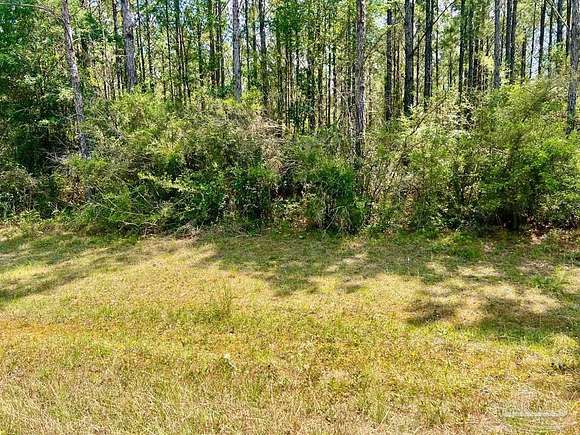 5 Acres of Residential Land for Sale in Jay, Florida