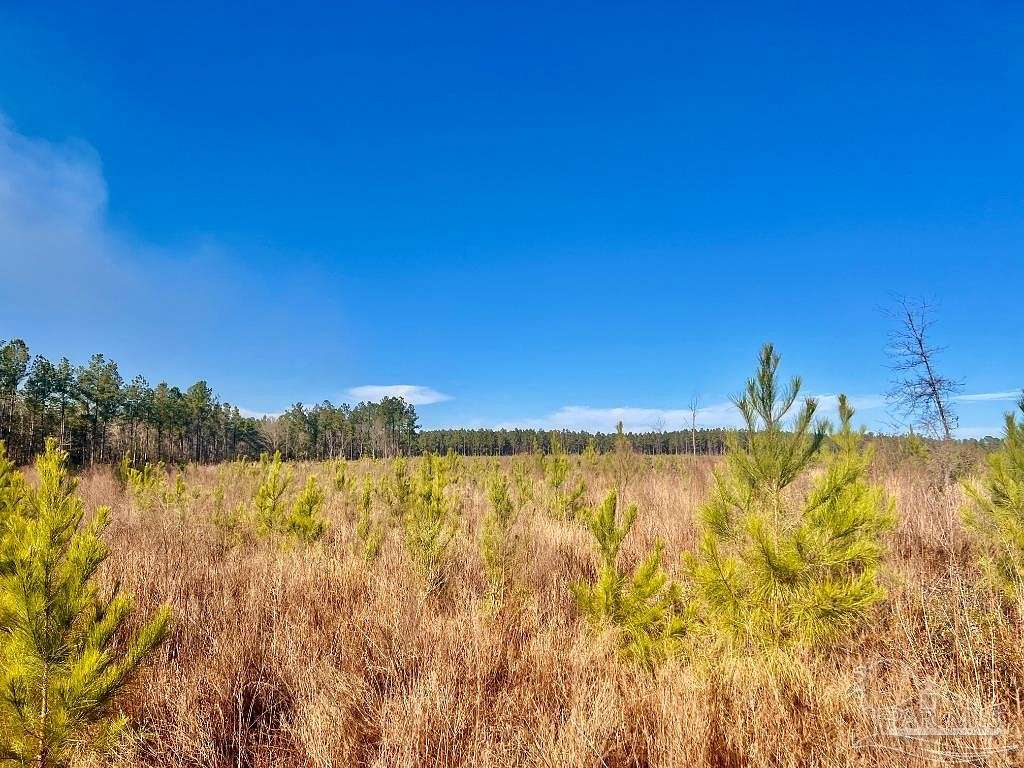 15.7 Acres of Land for Sale in Jay, Florida