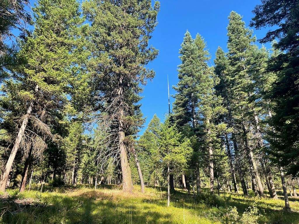 10.1 Acres of Land for Sale in McCall, Idaho