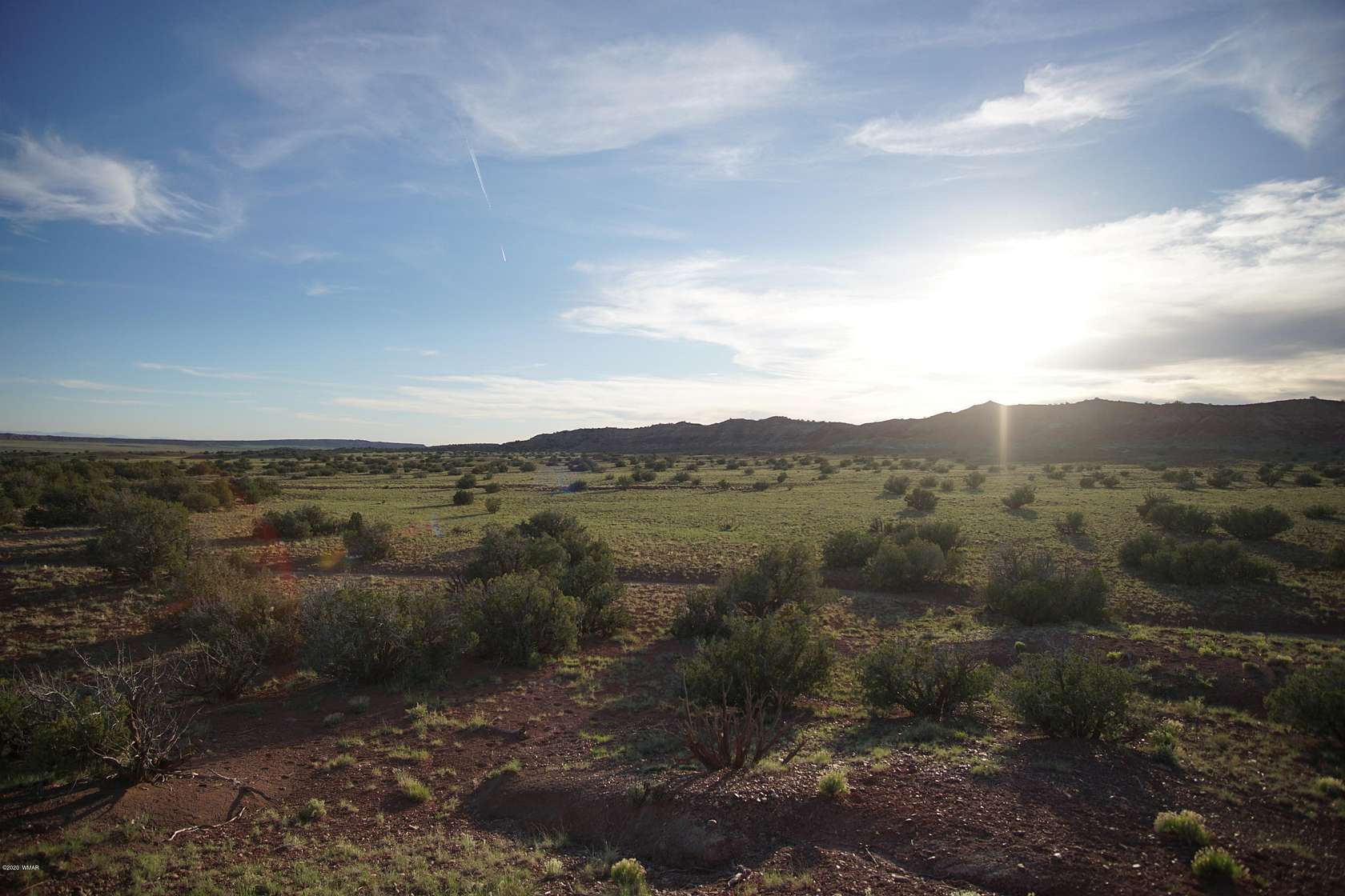 77.4 Acres of Agricultural Land for Sale in St. Johns, Arizona