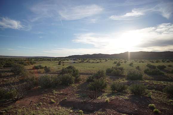 77.43 Acres of Agricultural Land for Sale in St. Johns, Arizona