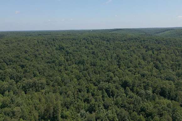 143 Acres of Land for Sale in Lyles, Tennessee