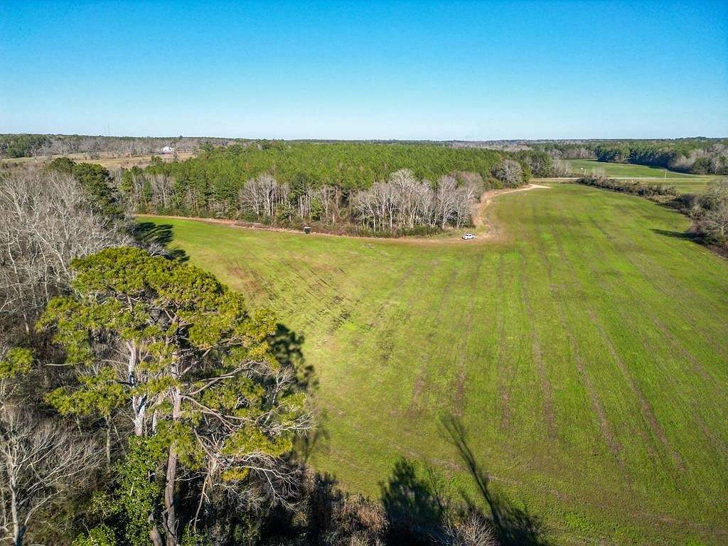 48 Acres of Recreational Land & Farm for Sale in Mount Olive, Mississippi