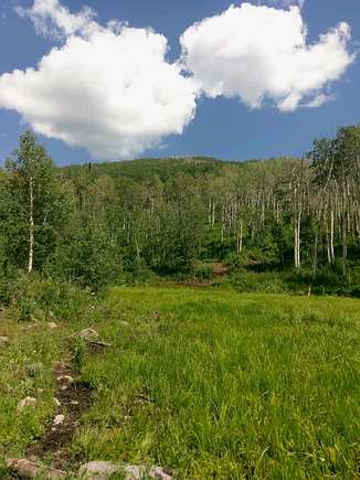 110 Acres of Land for Sale in Collbran, Colorado