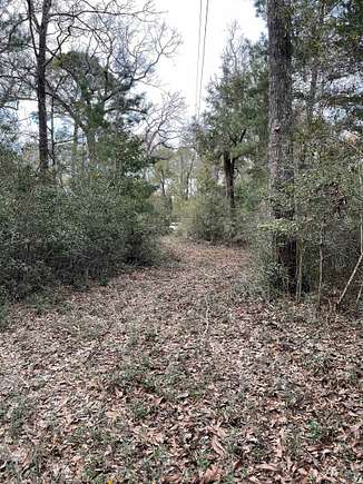 1.3 Acres of Residential Land for Sale in Crawfordville, Florida