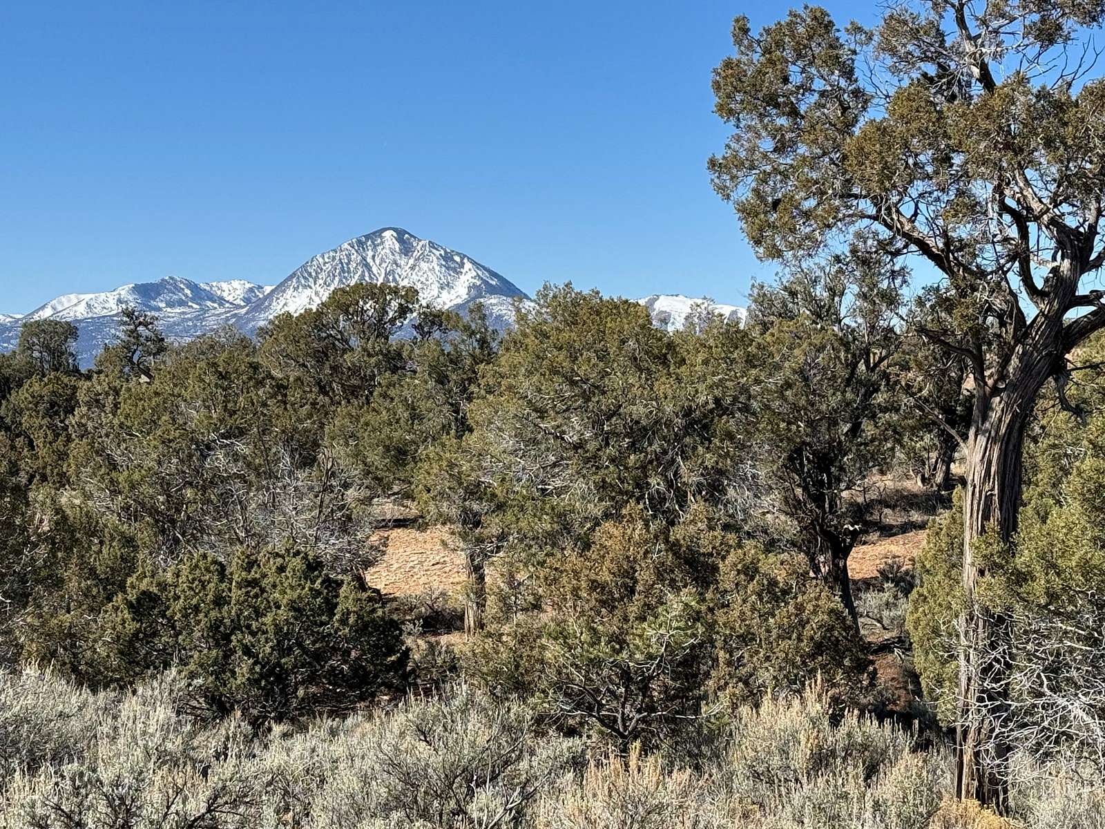 3.6 Acres of Recreational Land & Farm for Sale in Cortez, Colorado