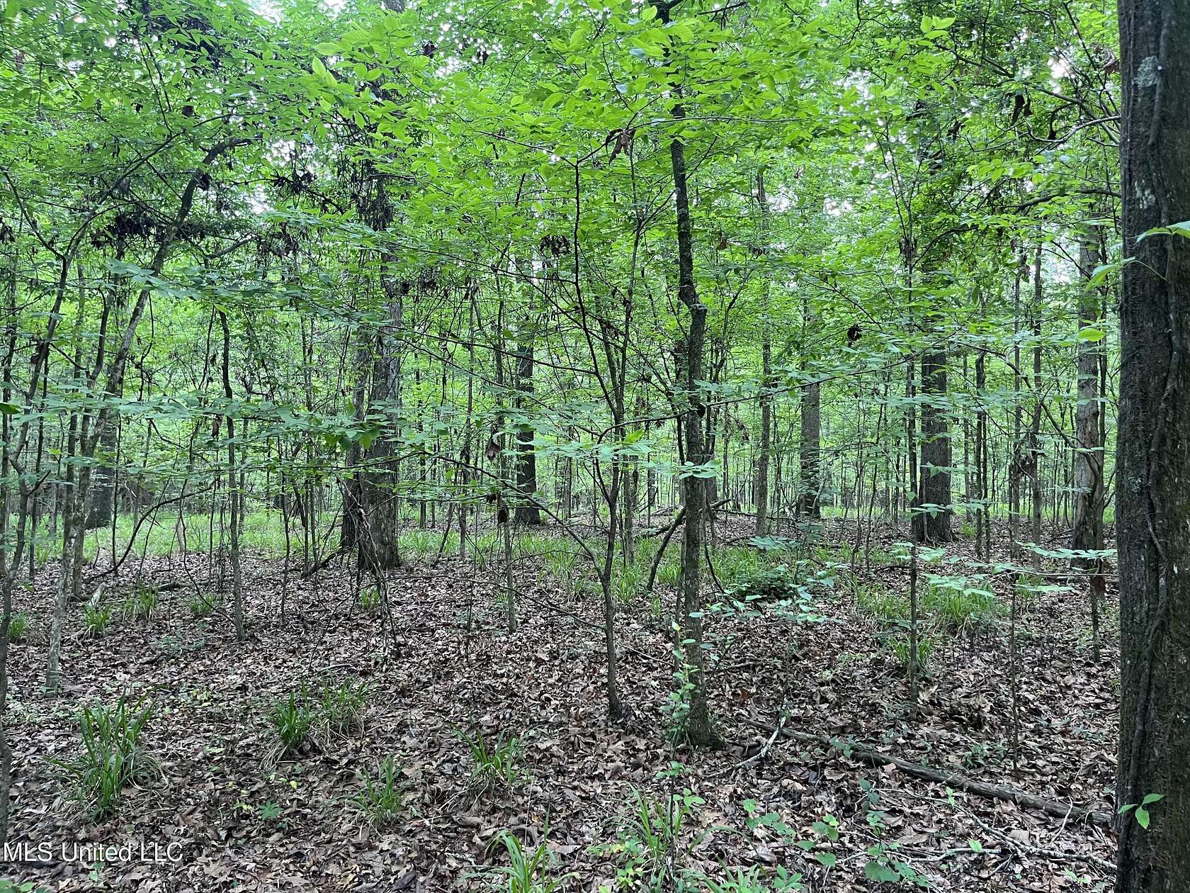 5.5 Acres of Land for Sale in Byram, Mississippi